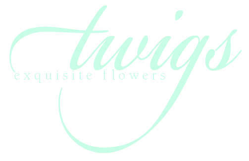 twigs-flower-shop-logo-mint