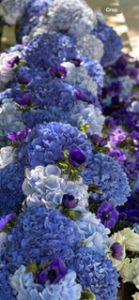 twigs-flower-shop (1)