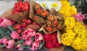 twigs-flower-shop (11)