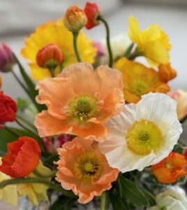 twigs-flower-shop (2)