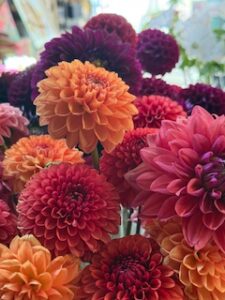 twigs-flower-shop (28)