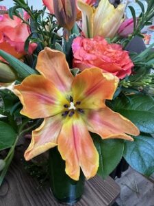 twigs-flower-shop (30)