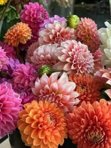 twigs-flower-shop (6)