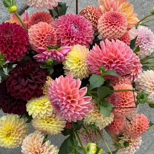 twigs-flower-shop (13)